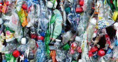 Im Plastikatlas geht es um die globale Plastik-Flut