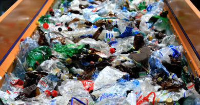 PET-Recycling mittels Enzyme: Carbios meldet Fortschritte