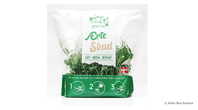 Bag for pea sprouts