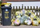 Recyclables from the yellow bag
