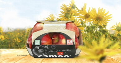 Die Äpfel der Sorte Cameo sind ab sofort in einer Papierverpackungen aus Silphie-Fasern verpackt